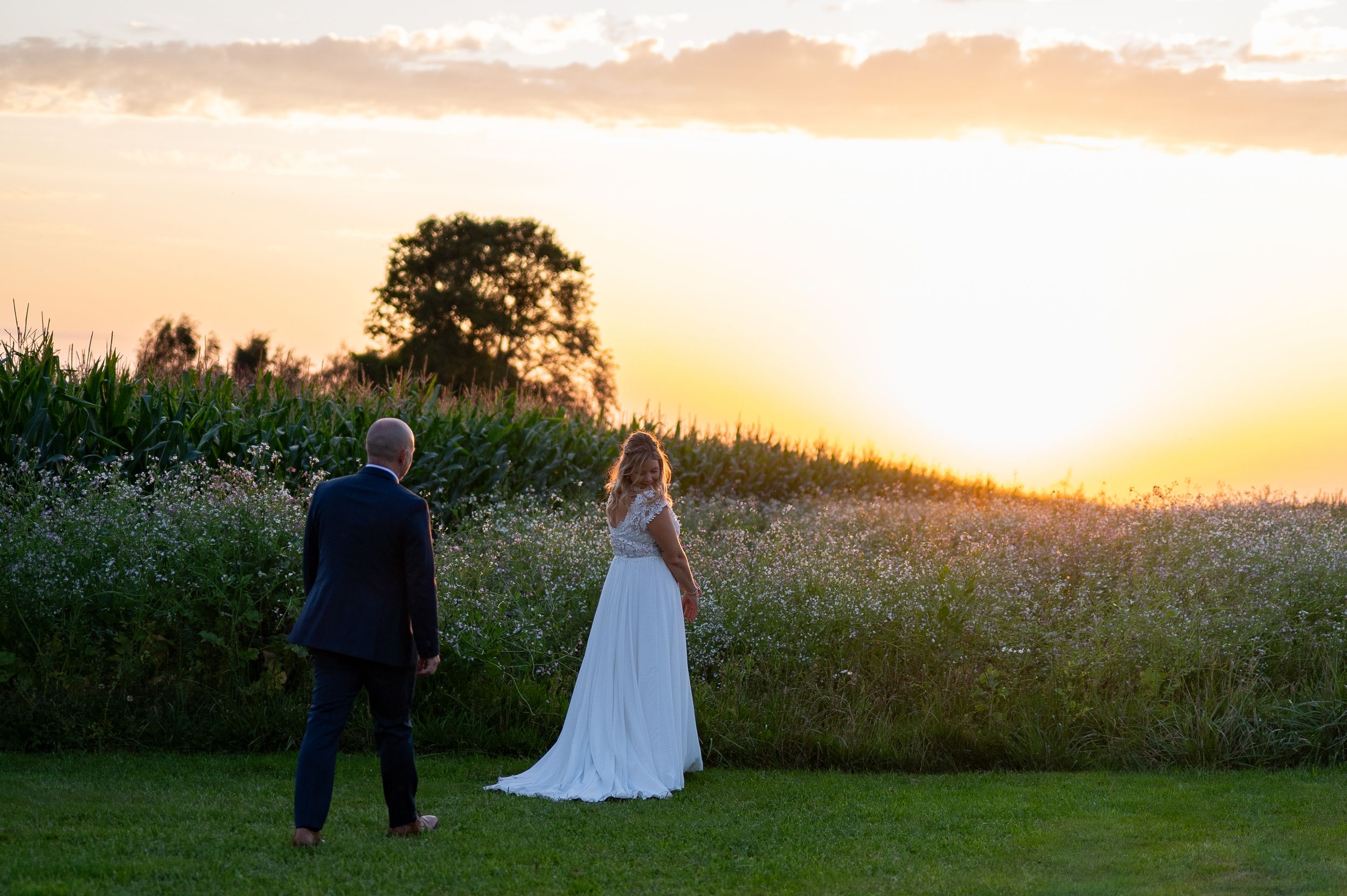 Bride and groom share a romantic moment at sunset beside a lush cornfield on their wedding day.