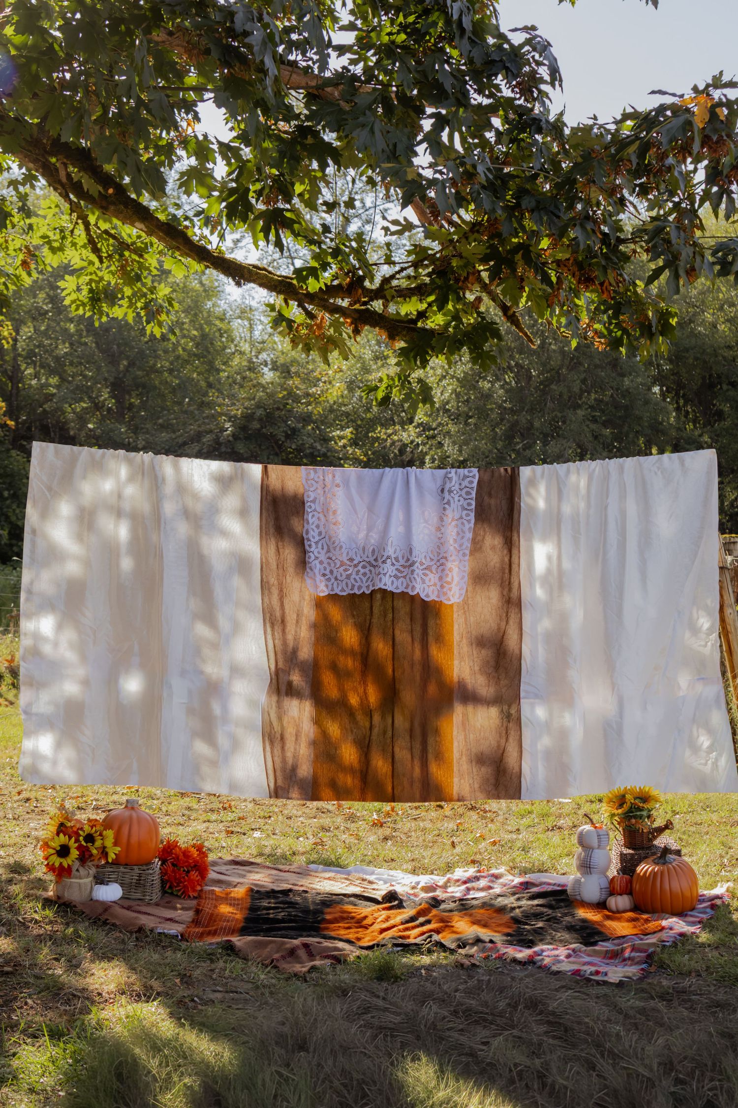Autumn outdoor picnic setup with pumpkins, sunflowers, and blankets beneath a fabric backdrop hung between trees.