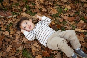 Toddler in striped shirt lying on autumn leaves in a park, looking up with a curious expression.