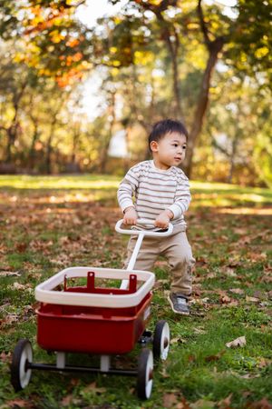 Toddler boy pushing a red wagon toy on grass in an autumn park with colorful fall foliage trees.