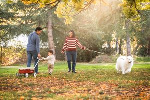 Family with toddler and white dog enjoying autumn park walk, pulling red wagon among golden fallen leaves.