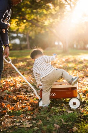 Toddler sitting in a red wagon being pulled through a sunny autumn park covered in fallen orange leaves.
