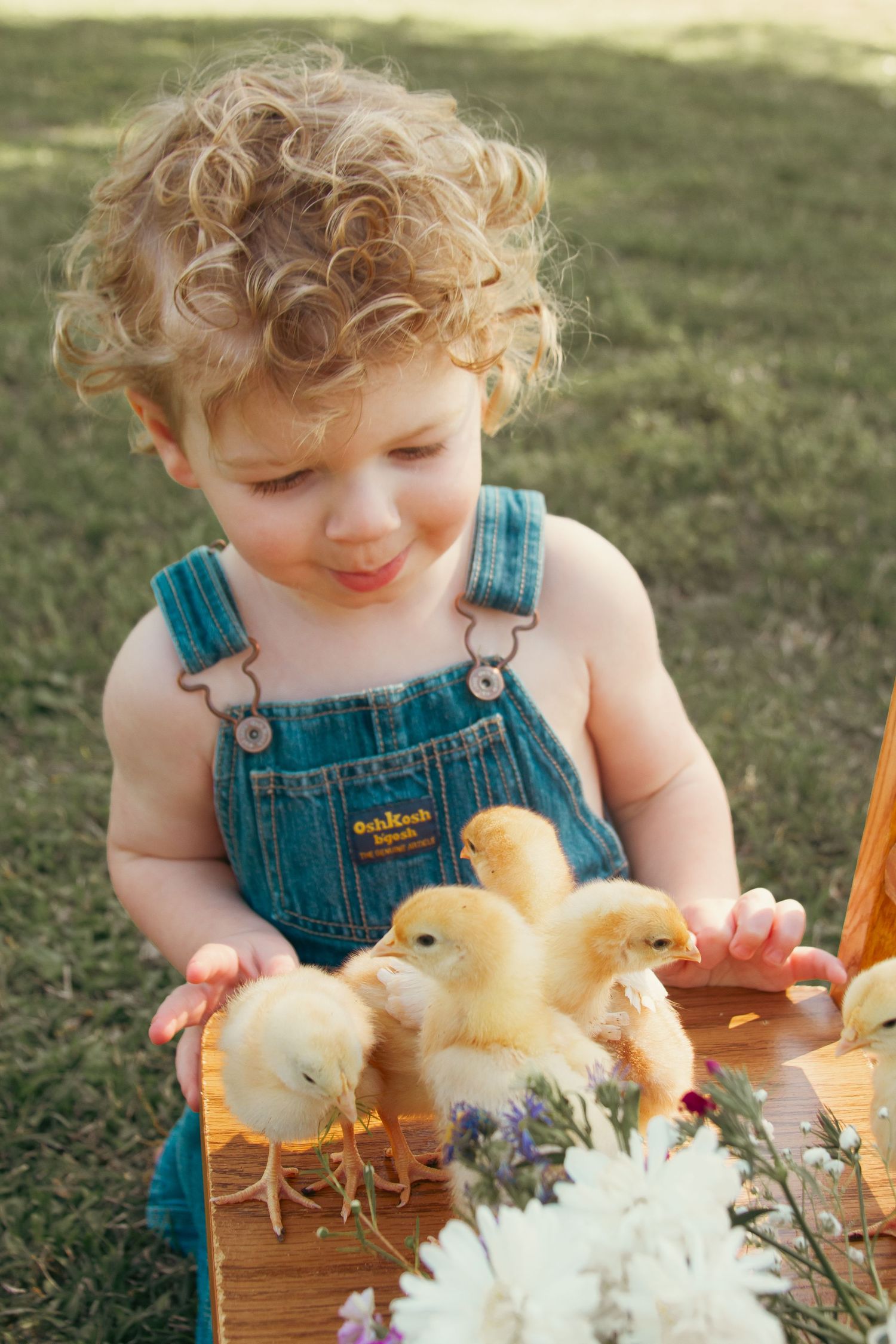 A toddler boy with yellow chicks during a spring childhood session in Mississippi County Arkansas
