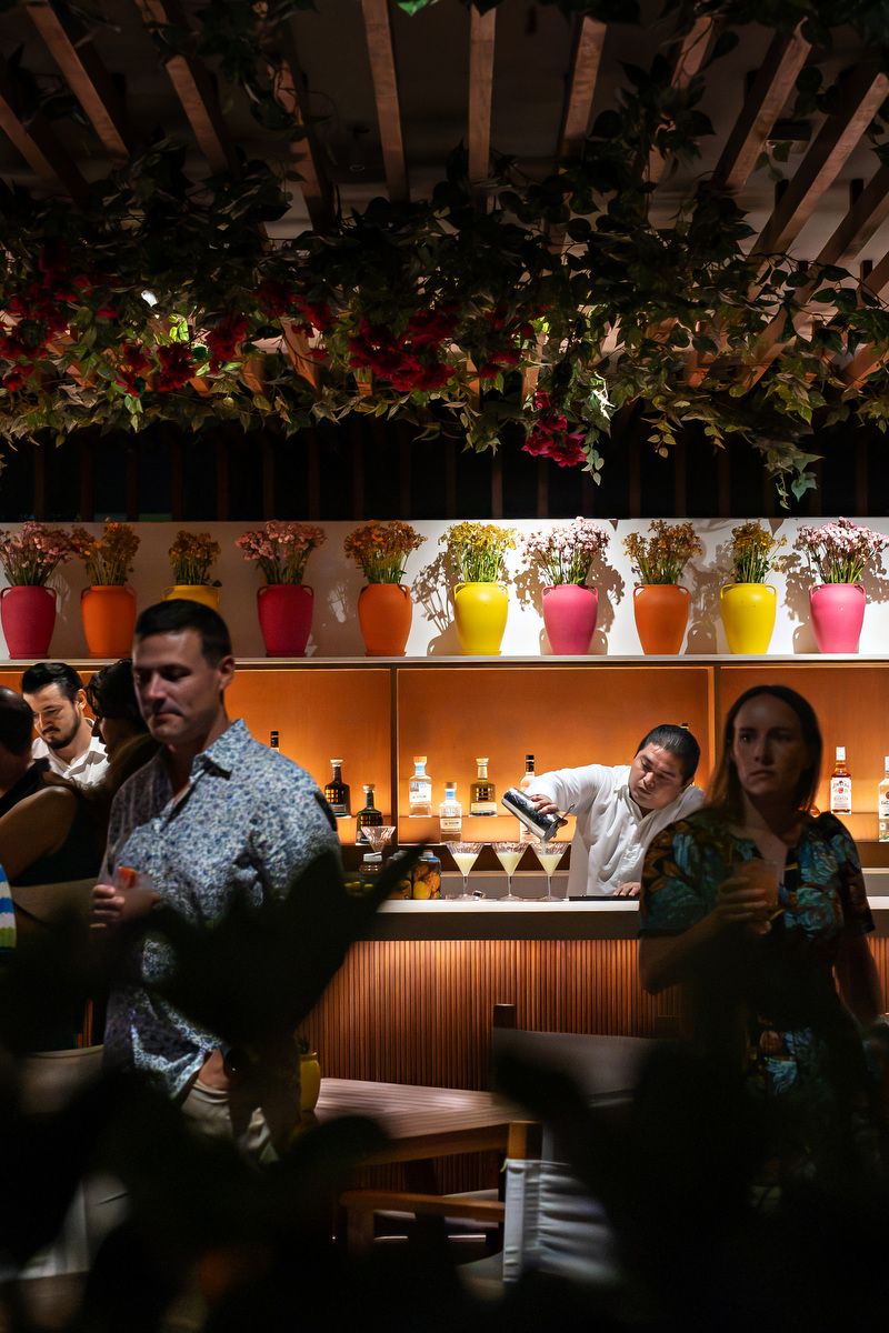Bartender pouring drinks at a vibrant bar with colorful flower pots and lush greenery overhead.