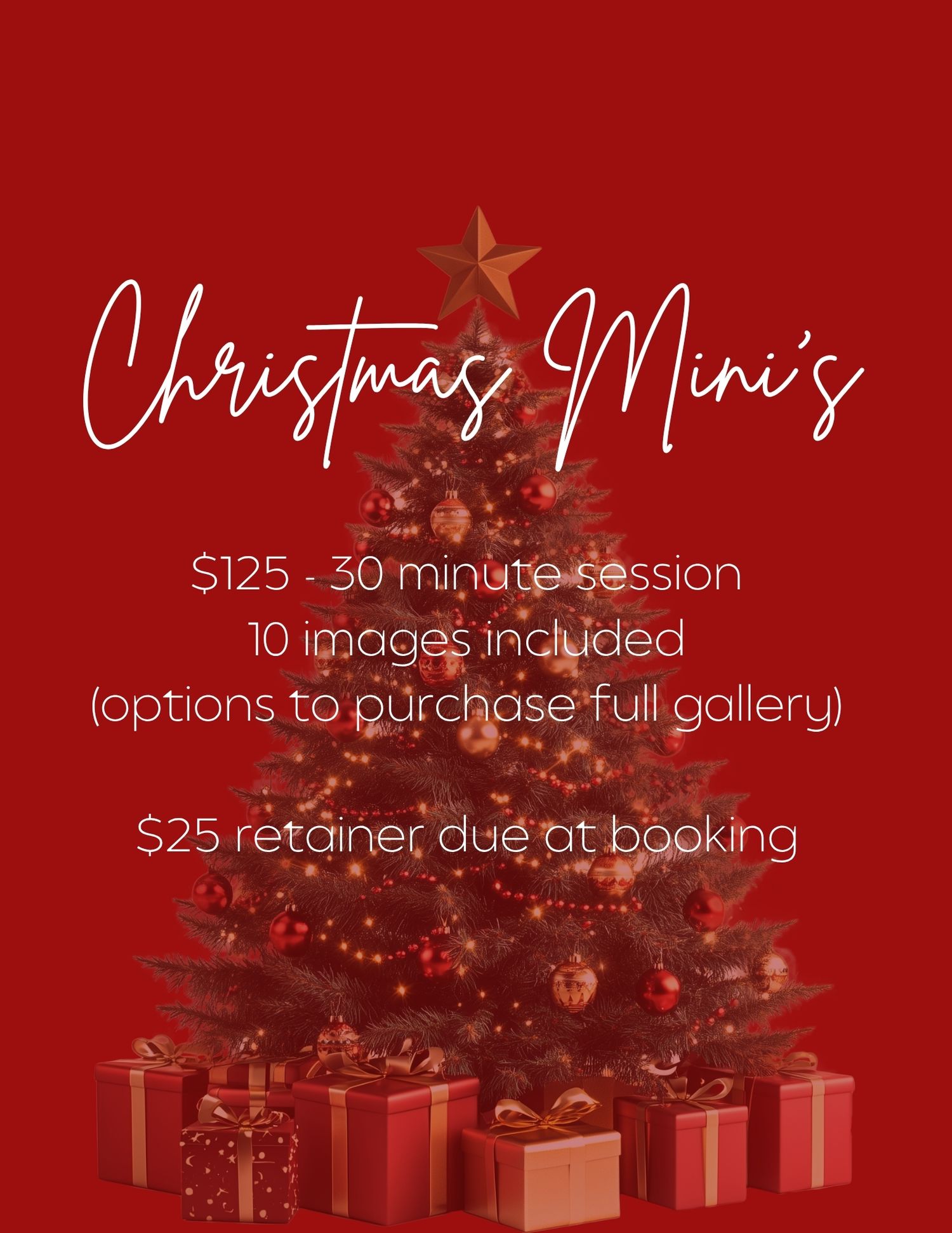 Christmas mini photo session ad for NikkiHardgravePhotography.com, $125 for 30 minutes, 10 images, with QR code booking.