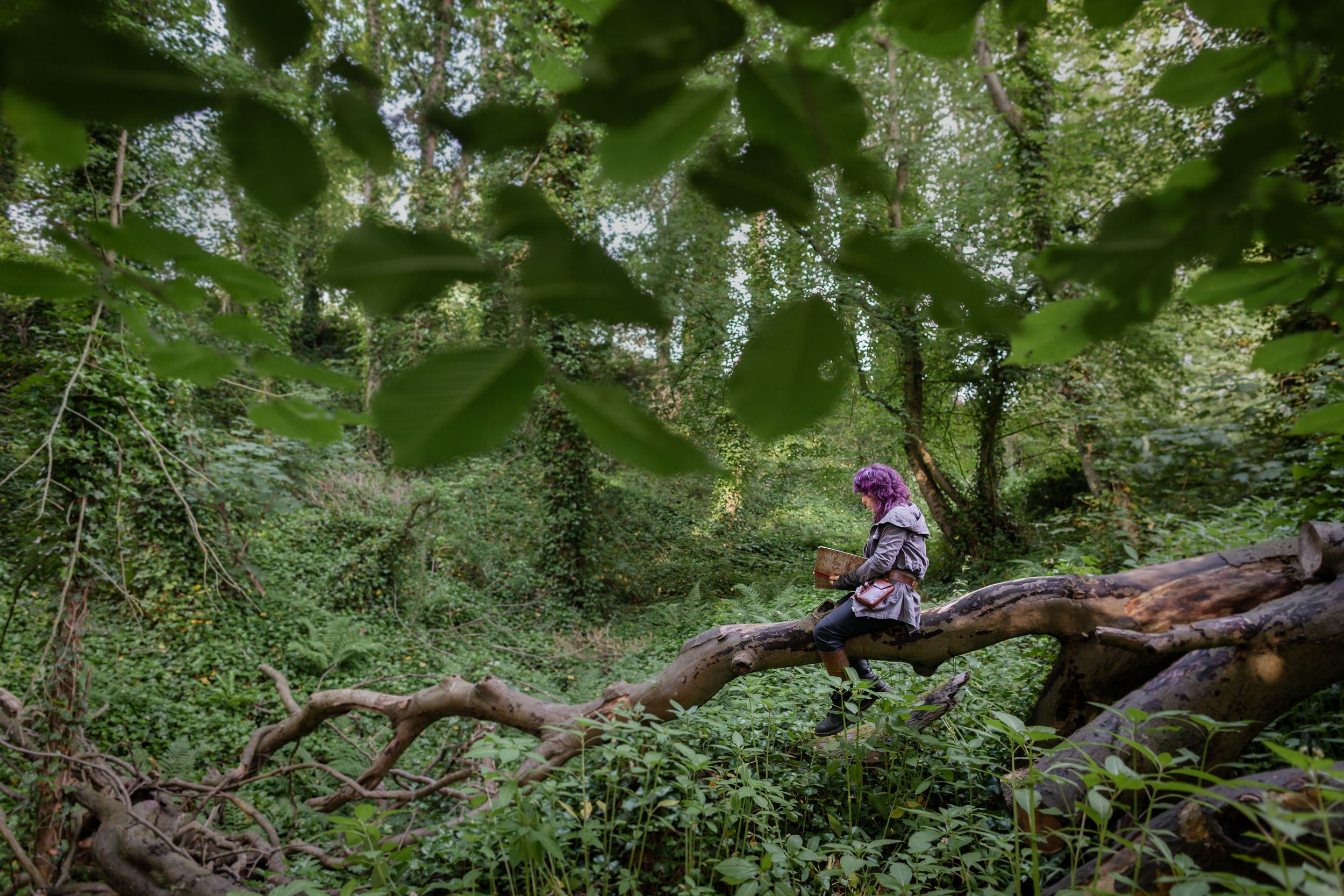 Child in colorful outfit sits on a fallen log surrounded by lush green forest foliage.