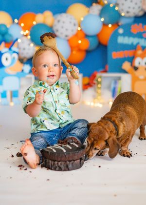 Baby's first birthday cake smash with a dachshund dog, Bluey themed party balloons, and colorful decorations in background.