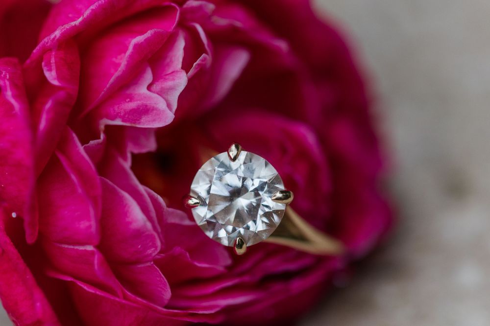 Gold solitaire diamond engagement ring nestled in vibrant pink rose petals.