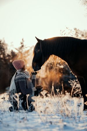 Child in winter clothes kneeling before a dark horse in a snowy golden sunset landscape.