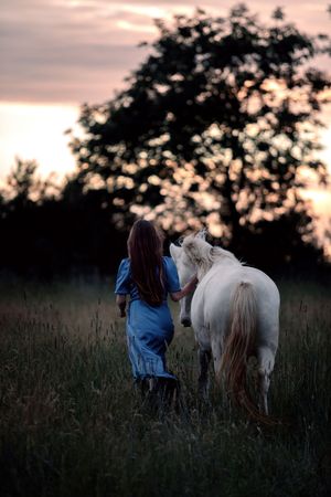 A girl in a blue dress walks with a white horse in a field at sunset.