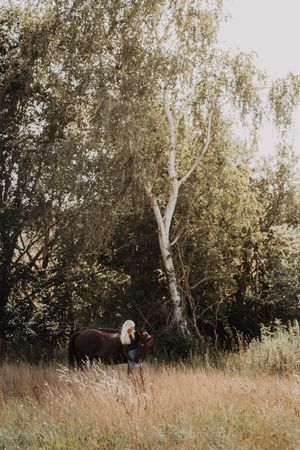 A person with blonde hair stands beside a dark brown horse in a golden meadow with birch trees in the background.