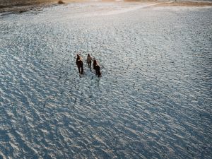 Aerial view of three horses walking across a vast, textured sandy desert landscape.