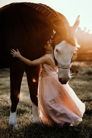 A young girl in a pink tulle dress tenderly embraces a dark horse during a glowing golden sunset.