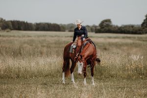 Woman in cowboy hat riding a chestnut horse through a golden meadow.