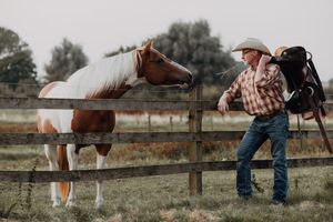 Cowboy with saddle standing by fence next to a paint horse.