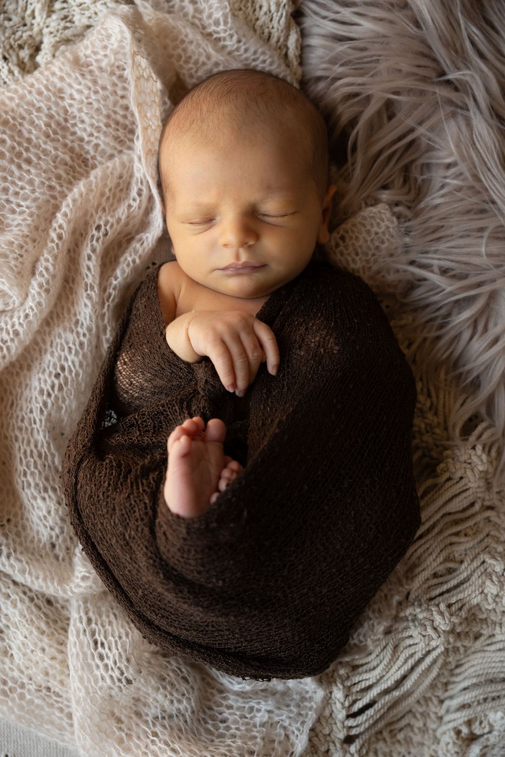 posed newborn baby boy