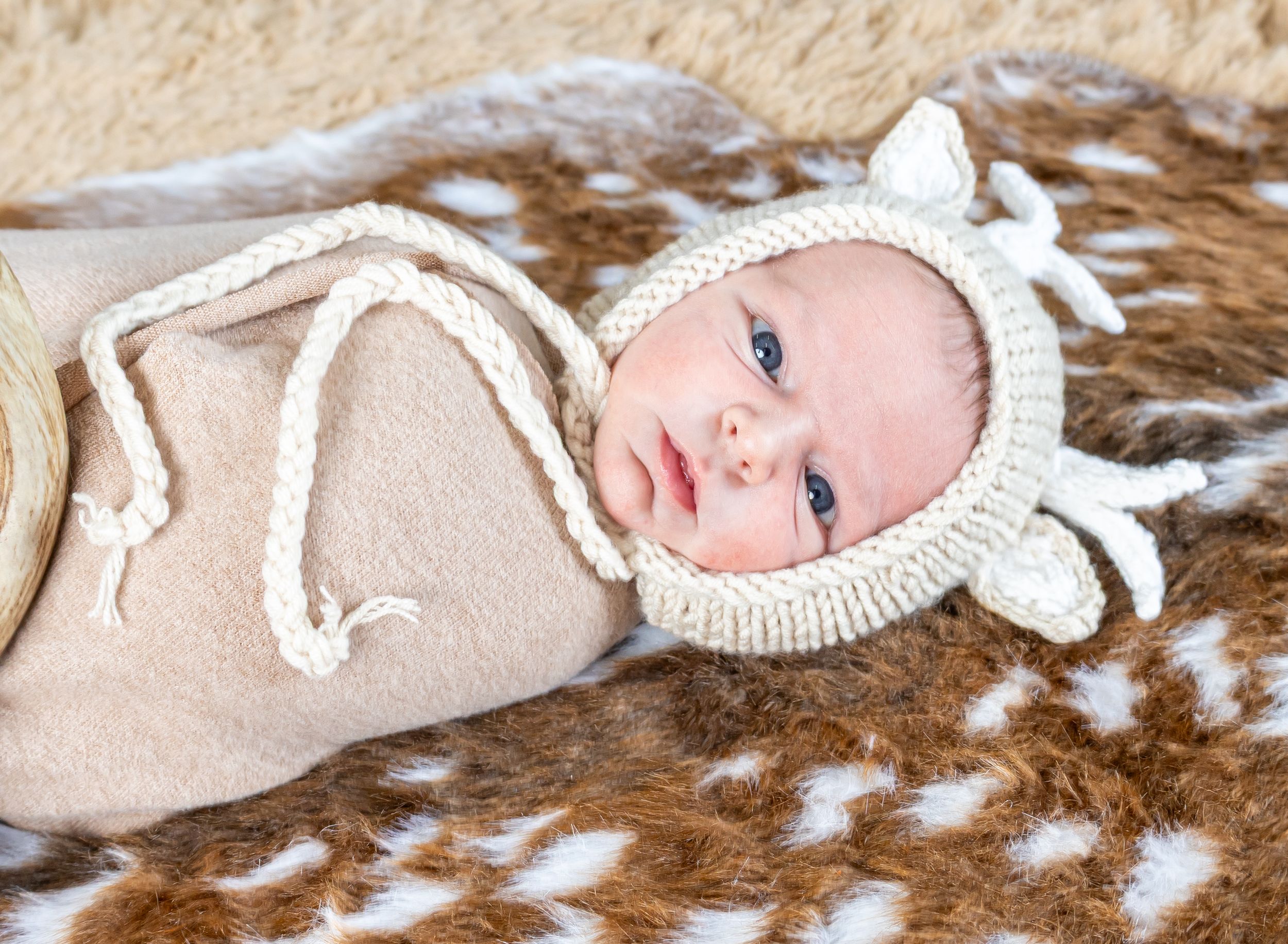 Newborn baby in cream knit deer hat with antlers, swaddled on spotted fawn fur rug.