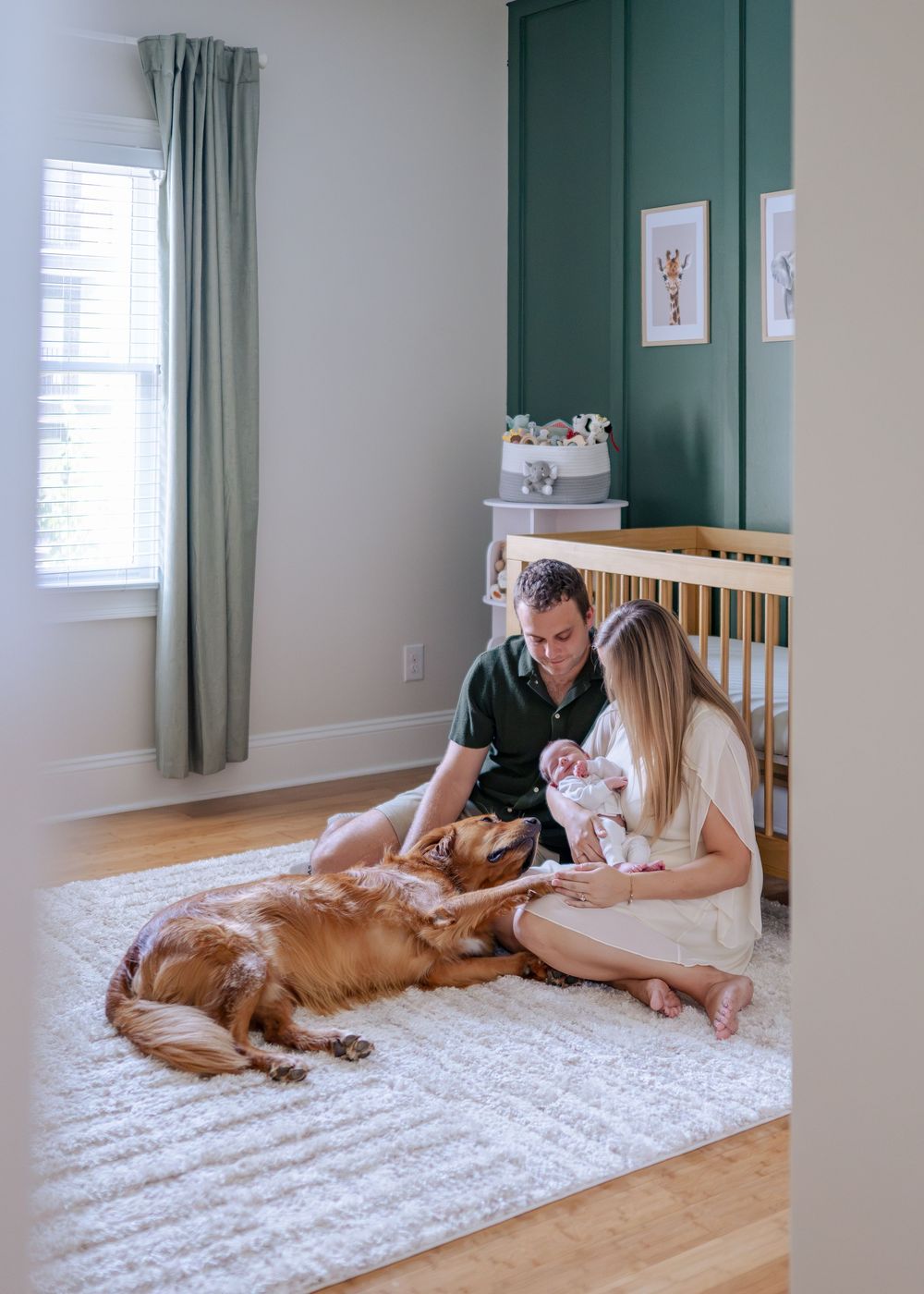 A couple sits on a white rug with their newborn and golden retriever in a green and wood nursery.