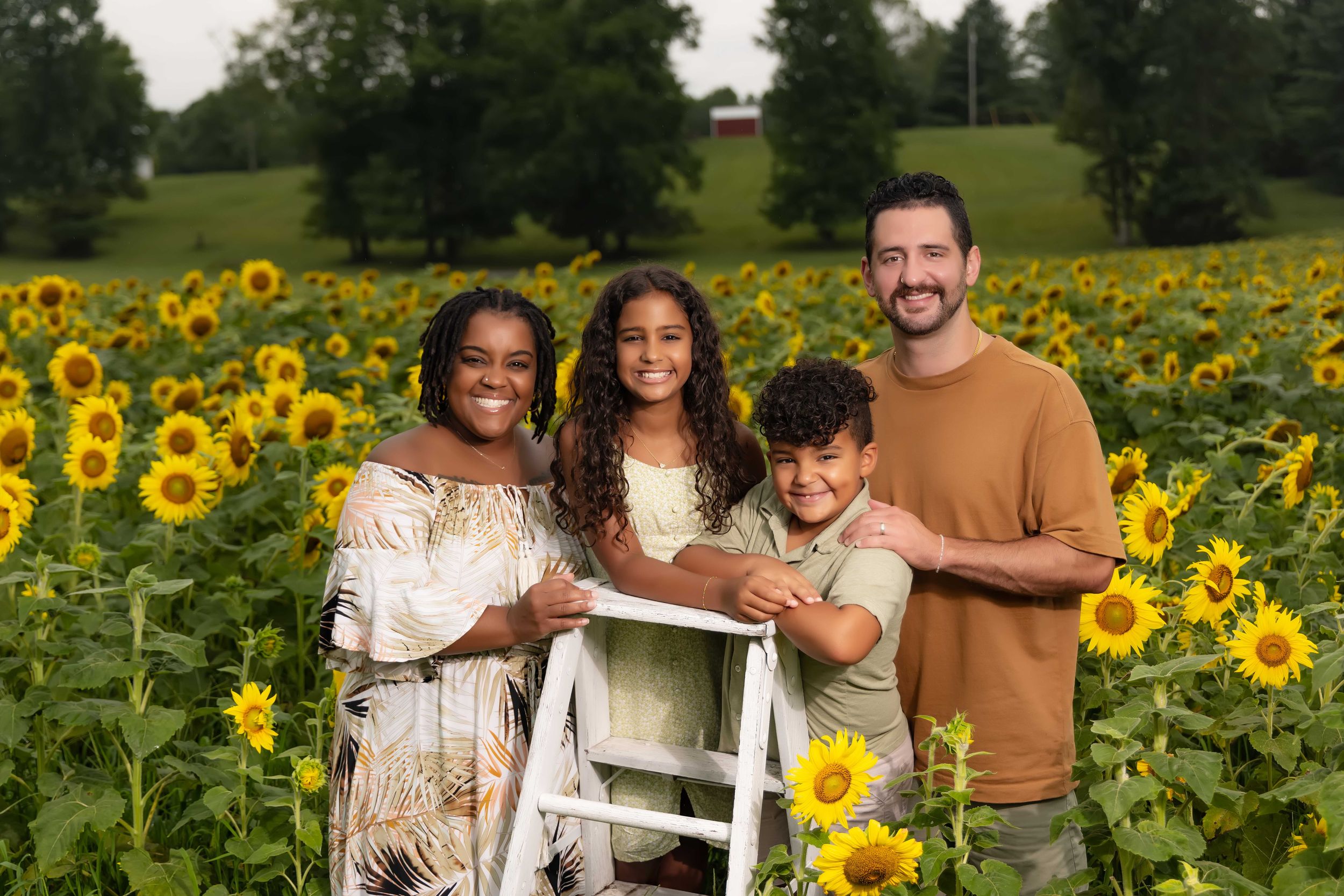 knoxville family photographer in sunflower field