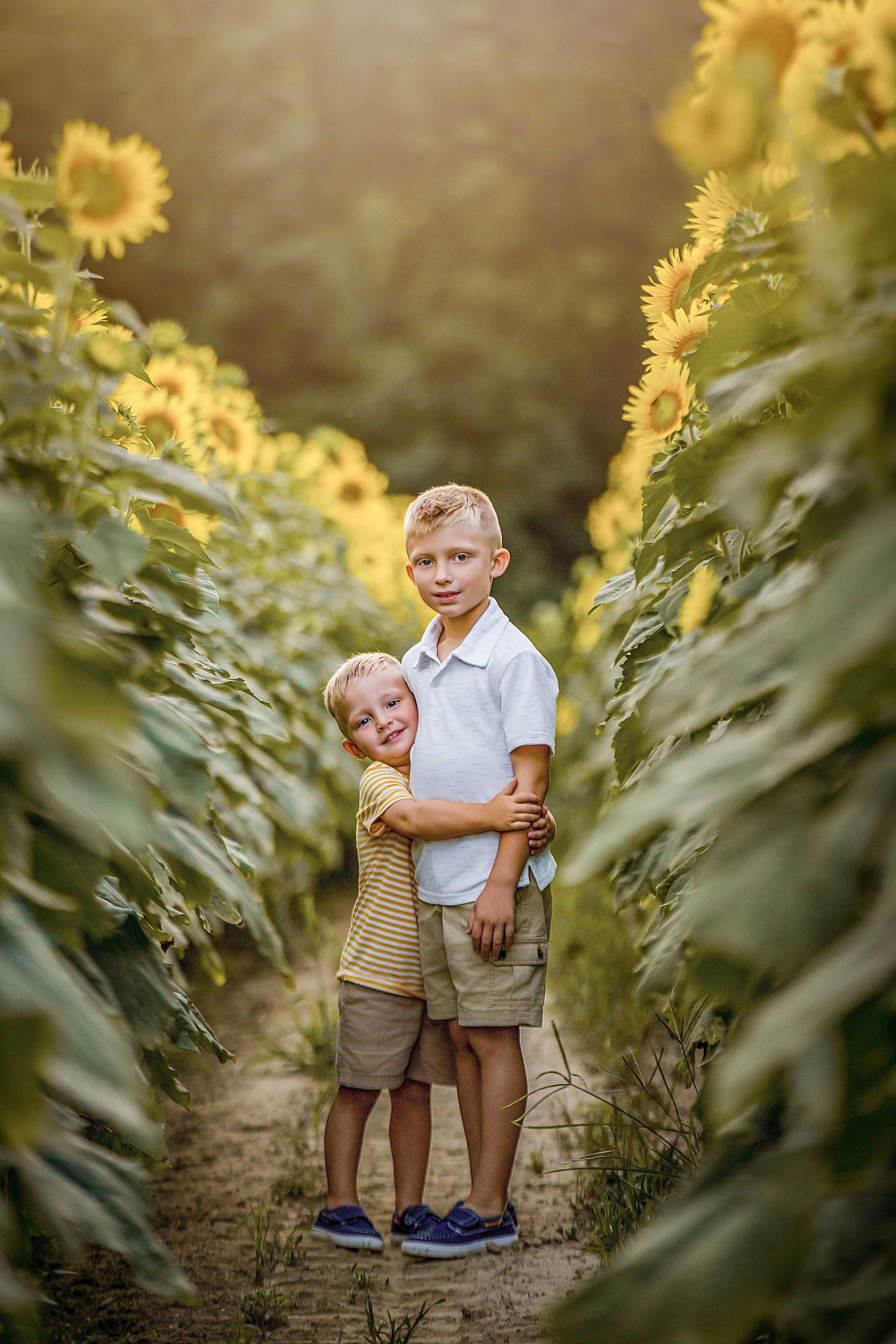 knoxville children photographer sunflower photos