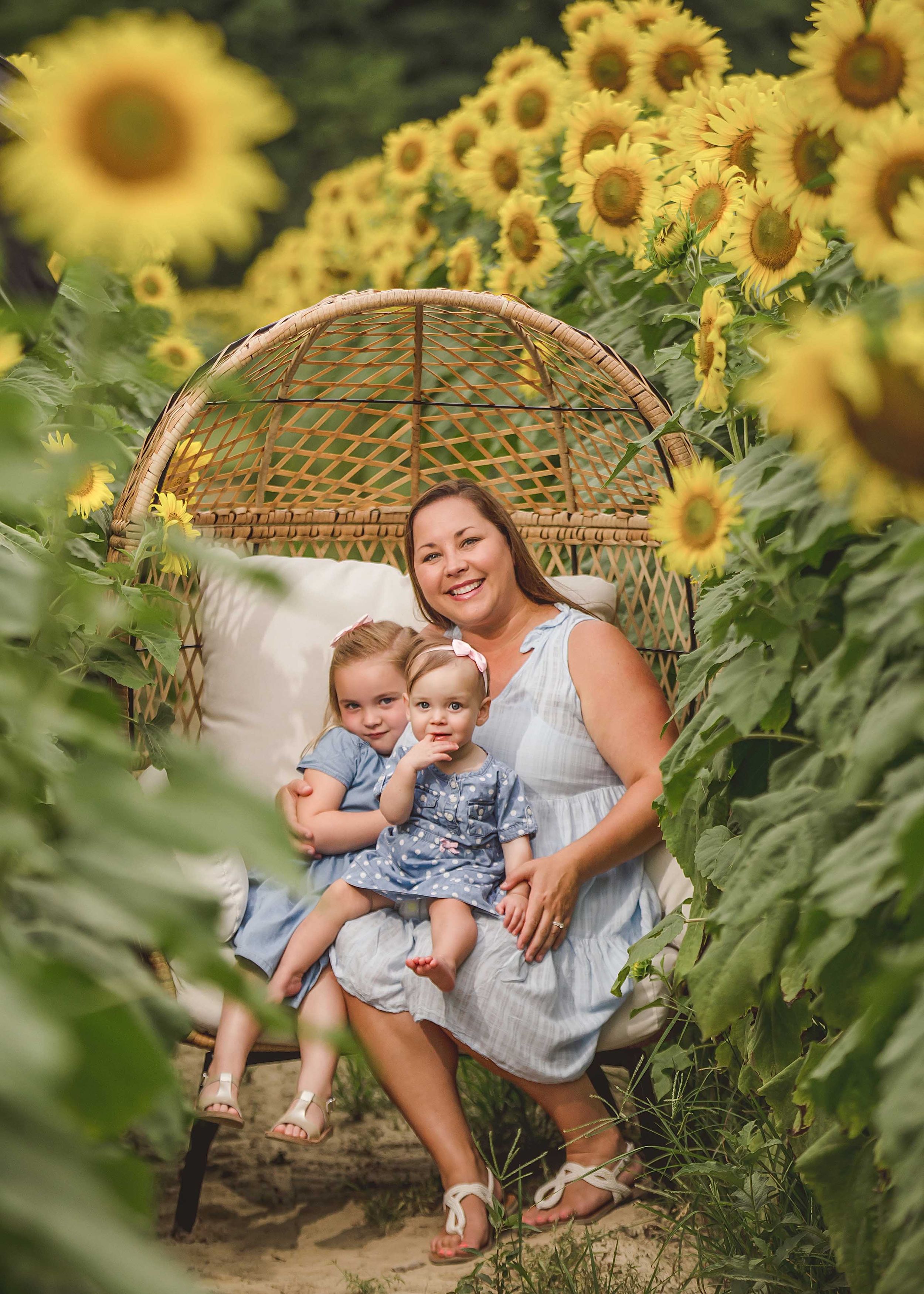 knoxville family photos in sunflowers