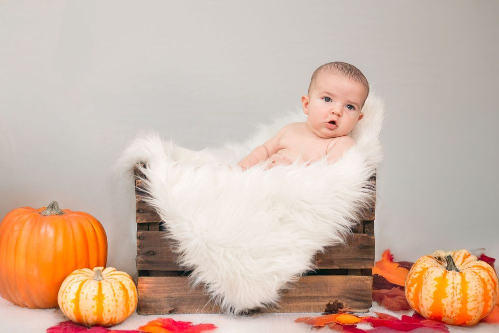 Seasonal photo setup with pumpkins and white fur rug against wooden backdrop.