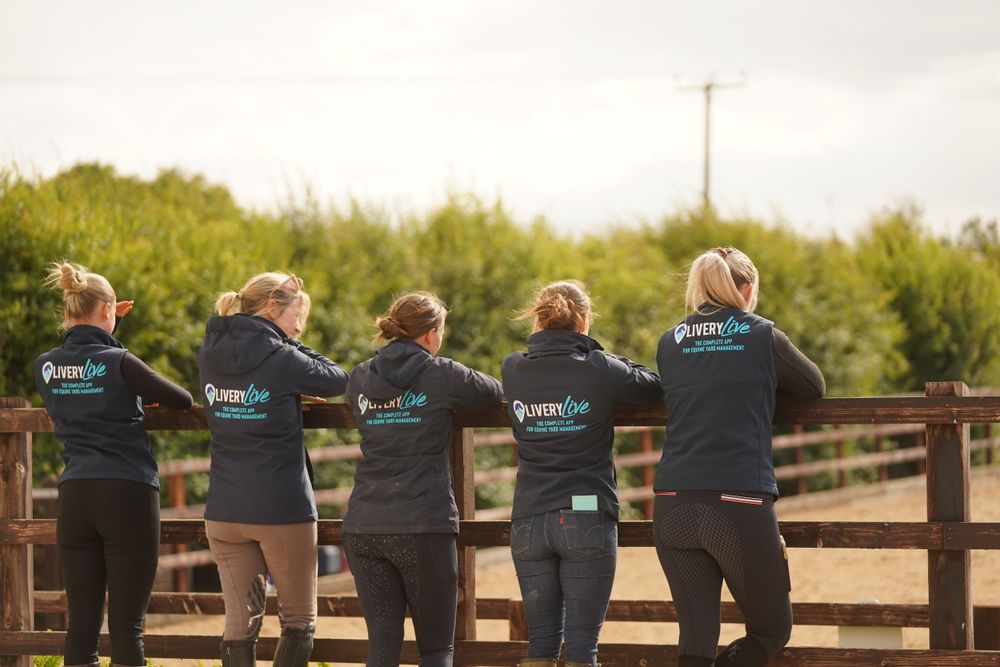 Five people wearing matching black shirts stand side by side looking over a wooden fence at sunset.