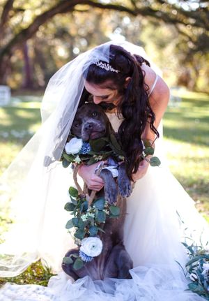 Asheville wedding photographer, NC wedding photographer, documentary style wedding photographer asheville, romantic wedding photos, timeless