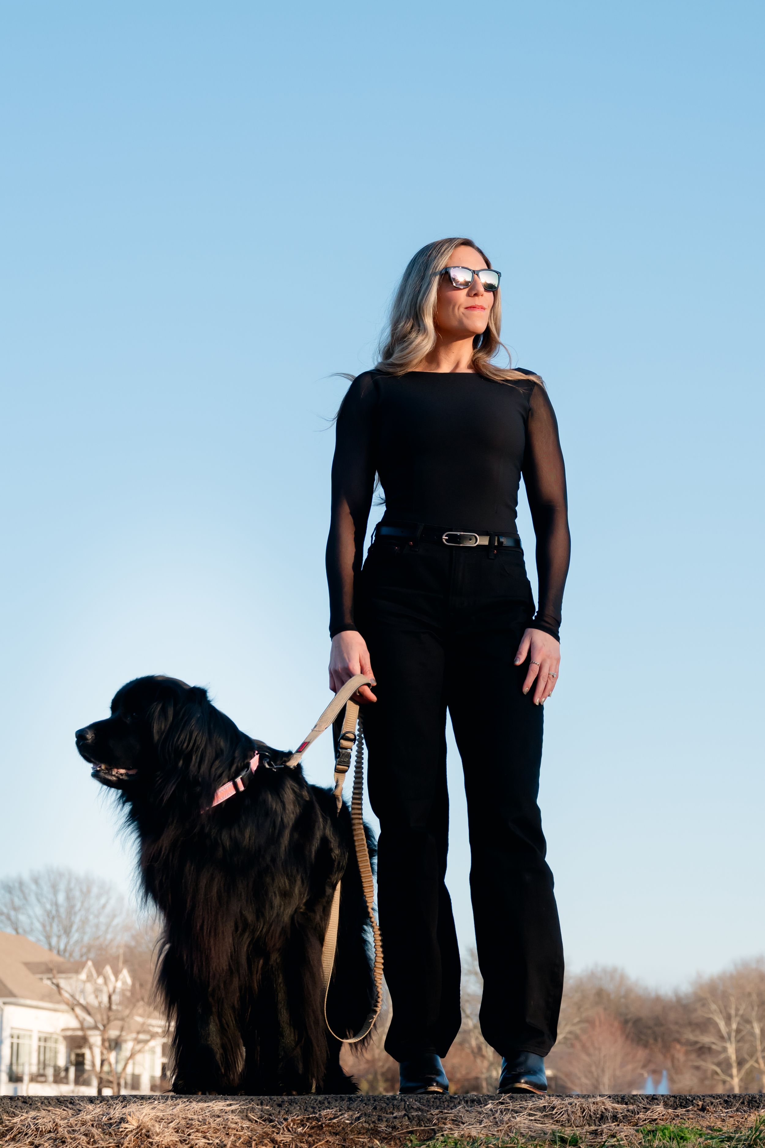 Pet Portrait Photography Virginia Dog Photographer
