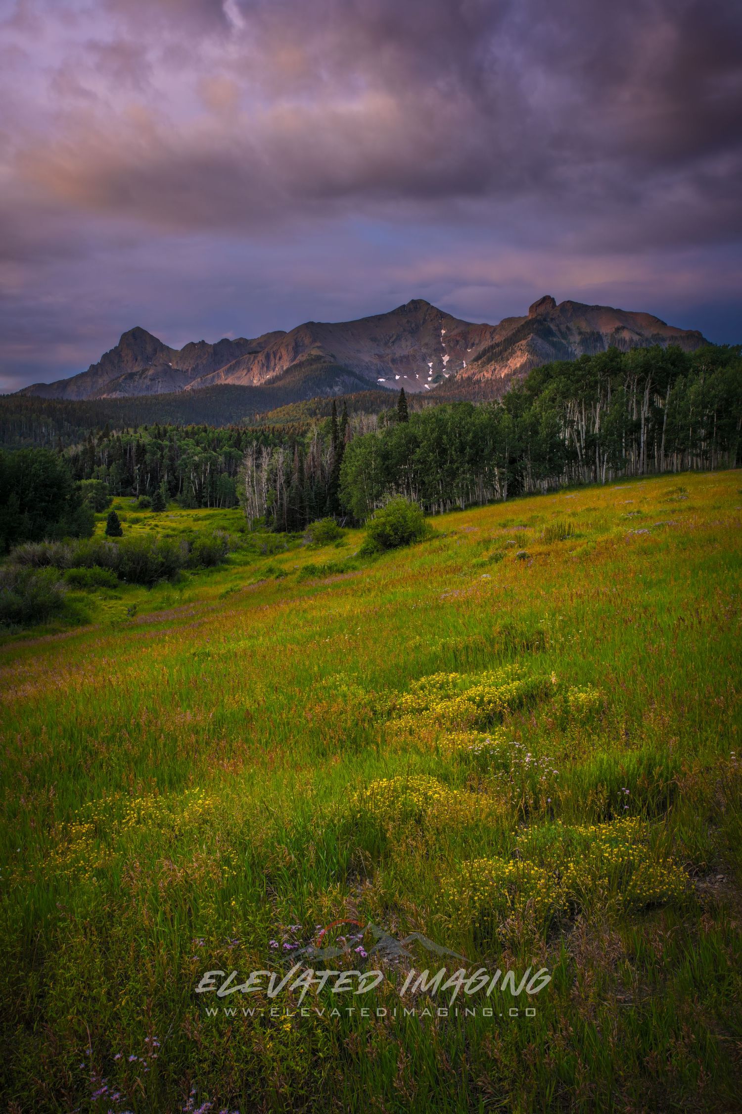 mount sneffels wilderness meadow mountains colorado nature landscape