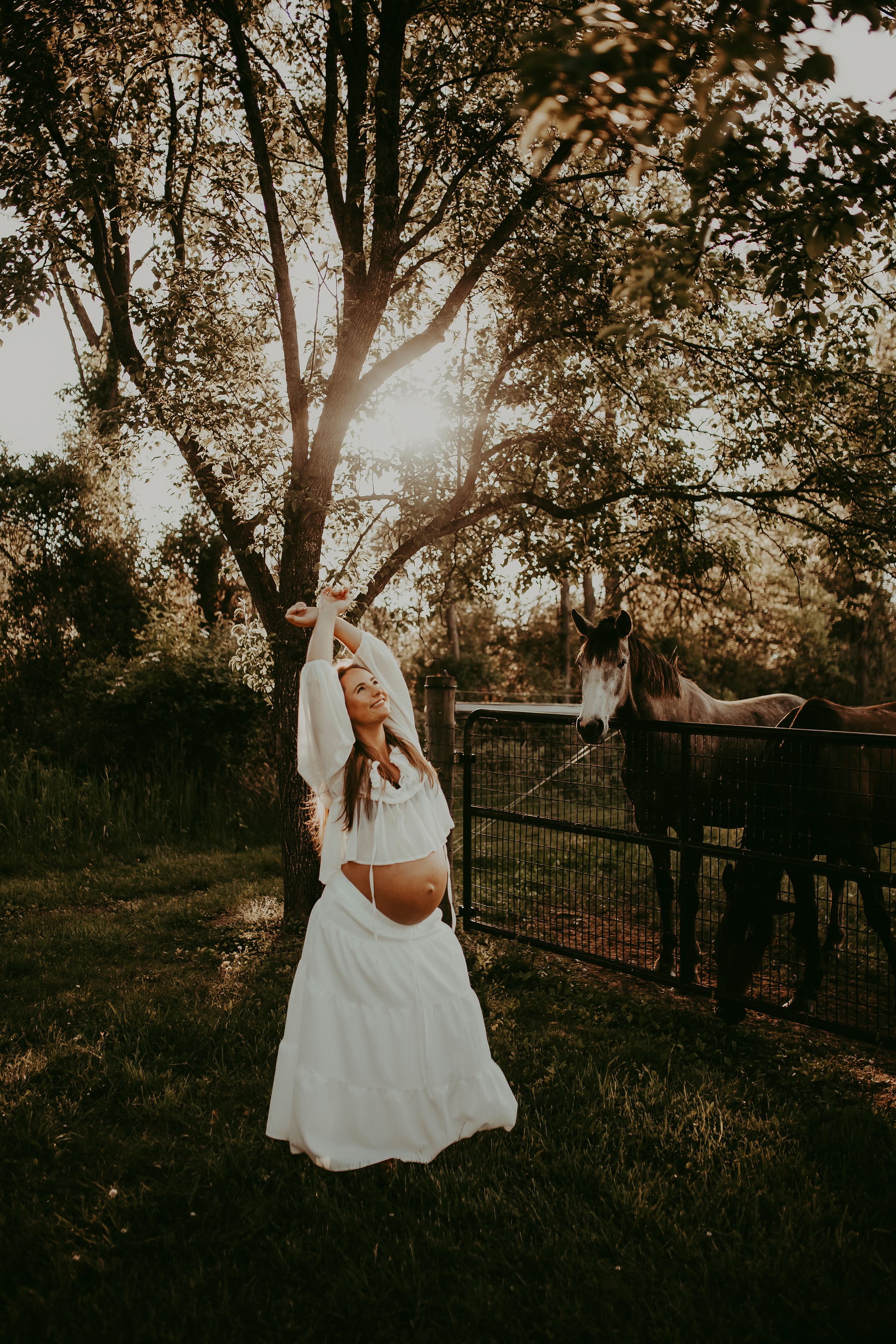 Pregnant woman in white dress poses gracefully outdoors at golden hour near a horse and metal fence.
