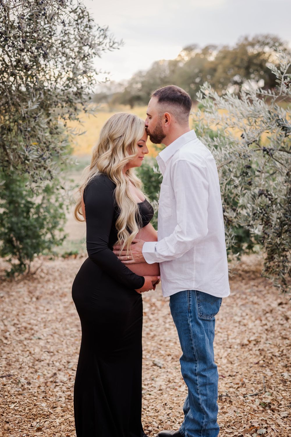 luxury maternity photographer in a vineyard in Sonoma County. pregnant woman standing with husband kissing. olive trees at golden hour.