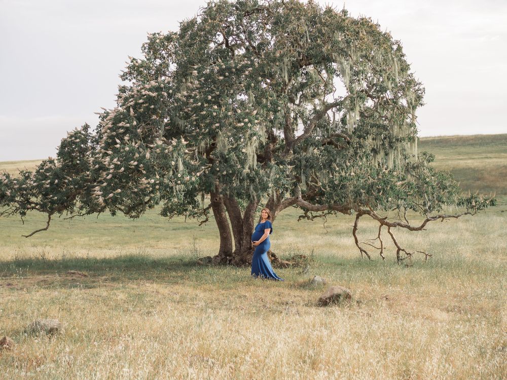 pregnant woman at maternity session. standing under a large tree in a long flow dress and staring into the distance. Sonoma County