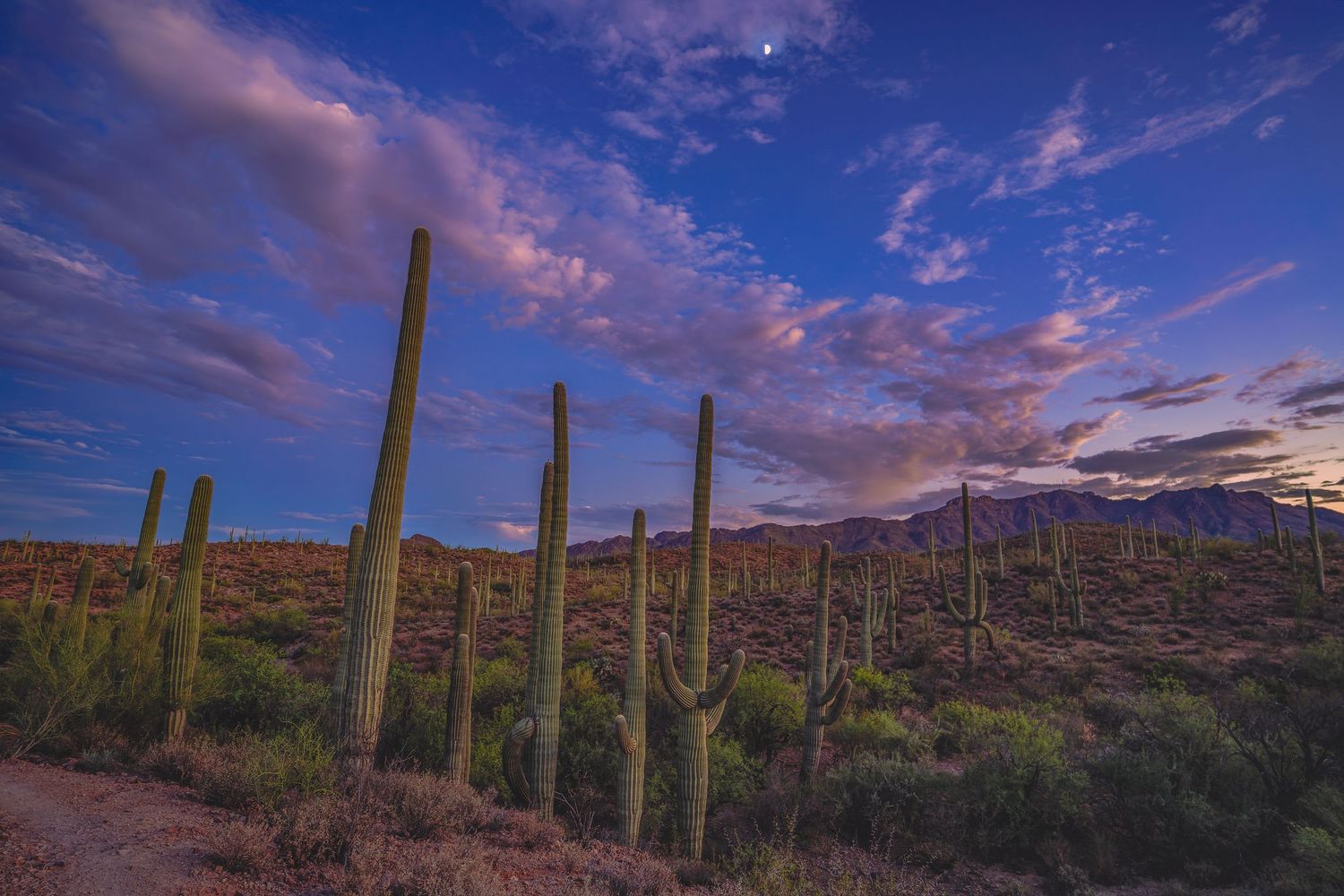 blue hour