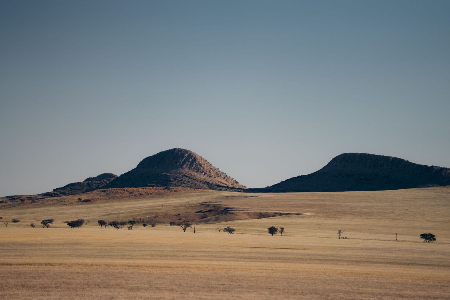 paysage de brousse en namibie