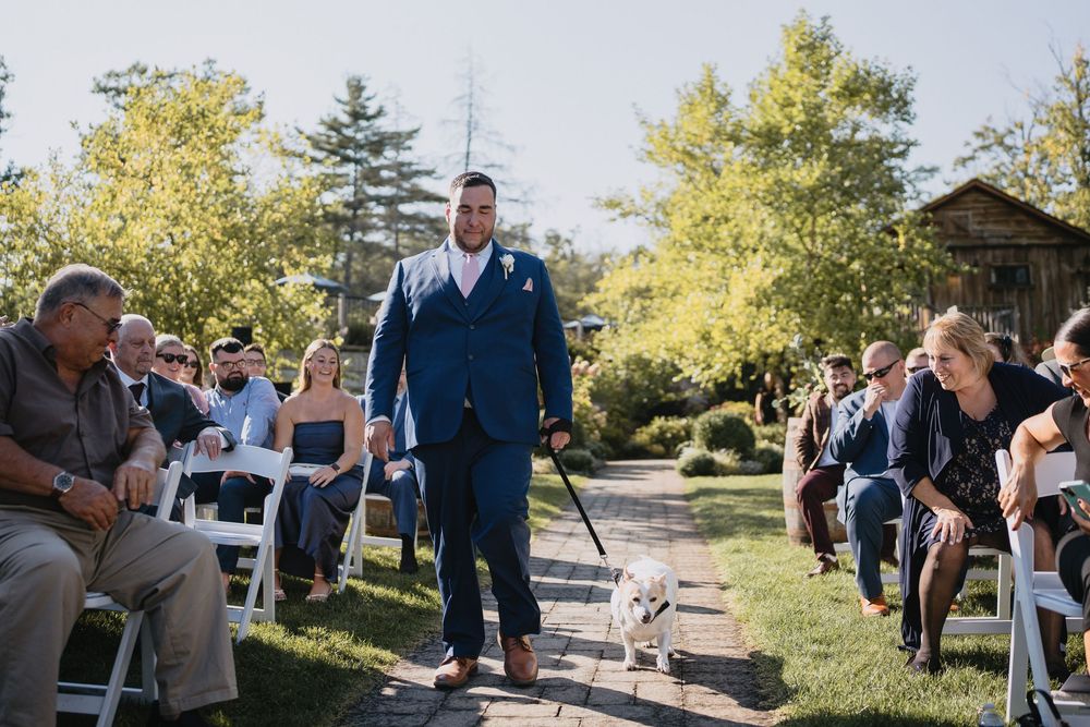 Groom in blue suit walks dog down outdoor wedding aisle lined with guests on white chairs amid lush greenery.