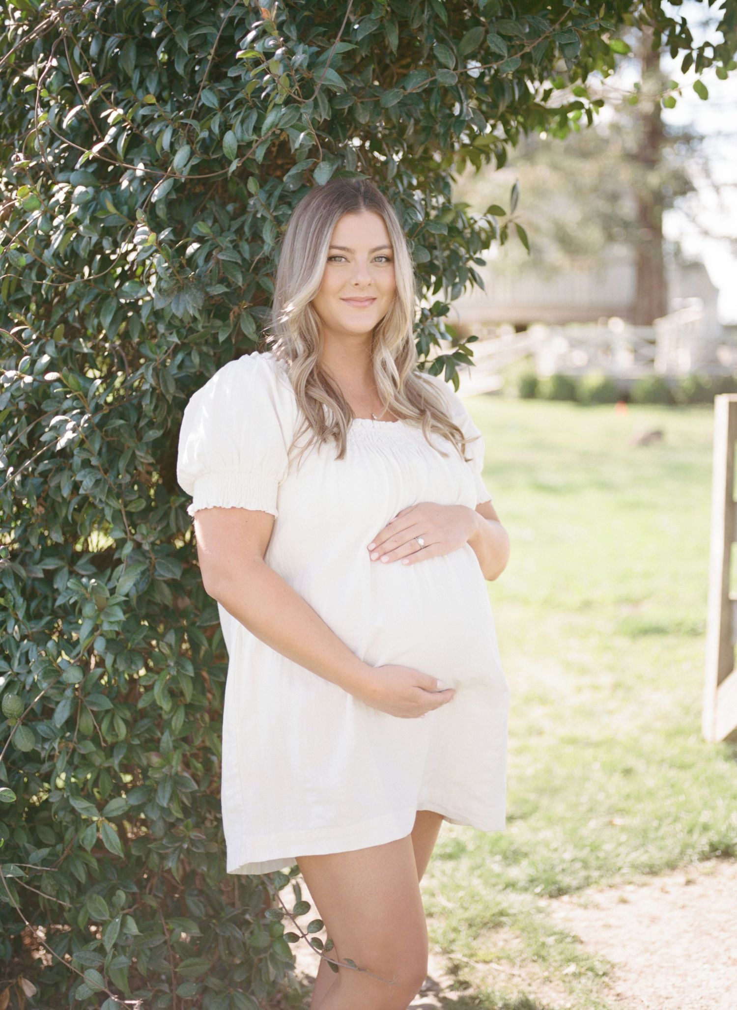 Pregnant woman in white dress cradling baby bump outdoors near lush green ivy, maternity photo session.
