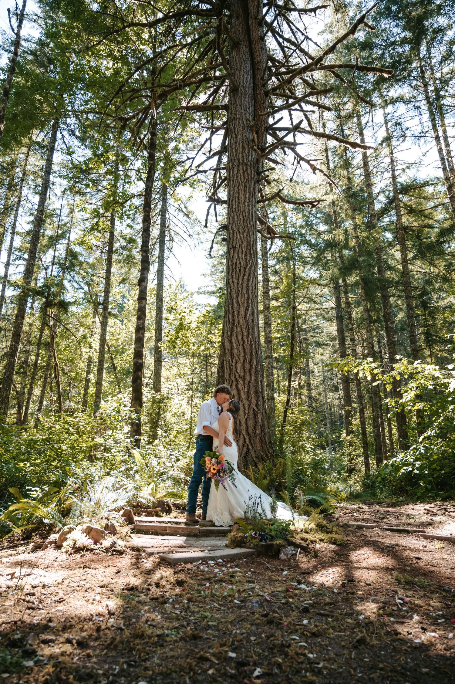 Bride and groom share a romantic kiss beneath a towering pine tree in a sunlit forest wedding portrait.