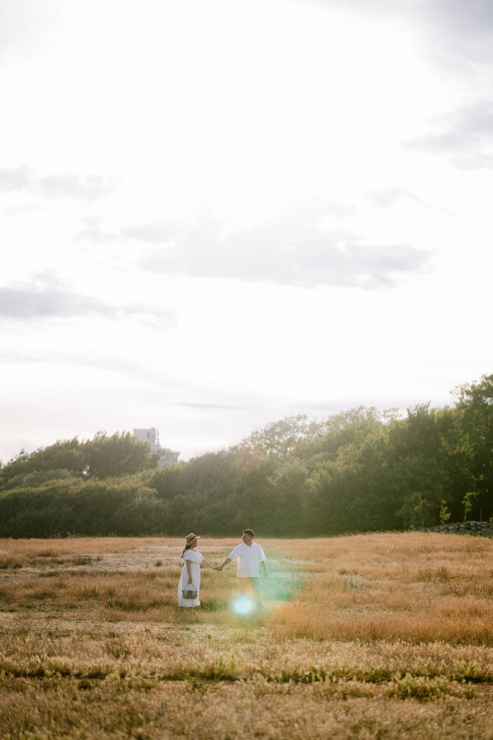 Couple holding hands in golden field with sunflare and green trees at sunset.