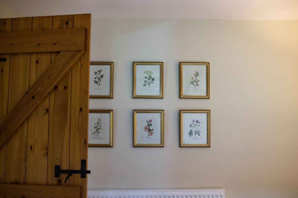 Wooden barn door beside wall gallery of six framed botanical prints in gold frames against beige wall.