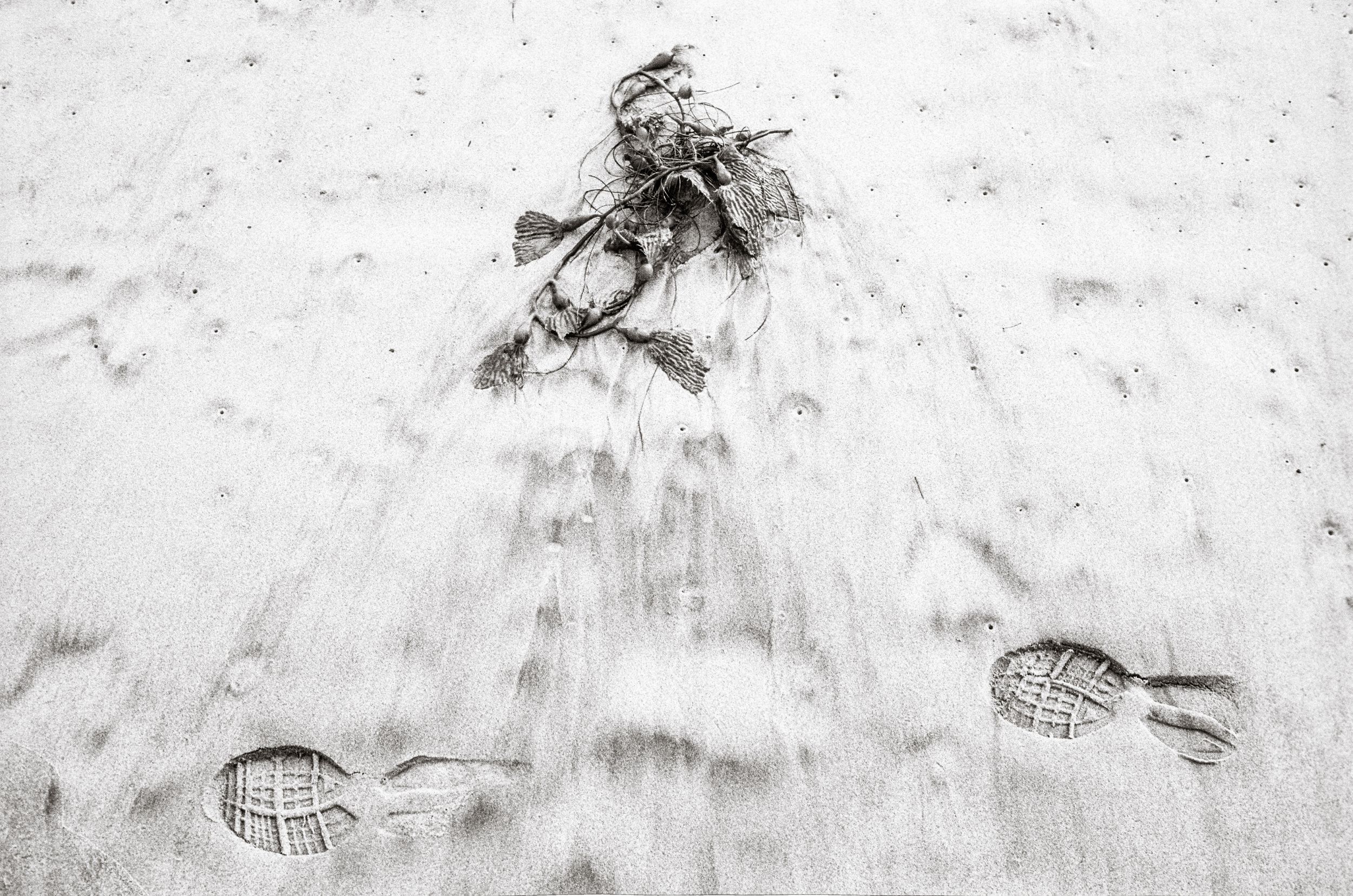 Aerial view of footprints and seaweed on wet sandy beach in black and white photography.
