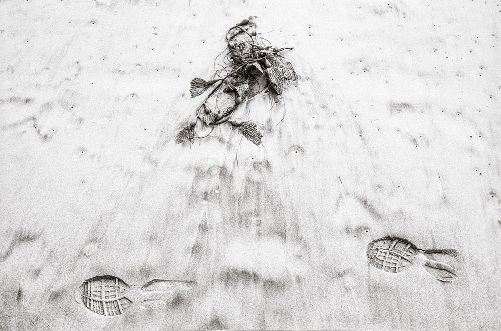 Aerial view of footprints and seaweed on wet sandy beach in black and white photography.