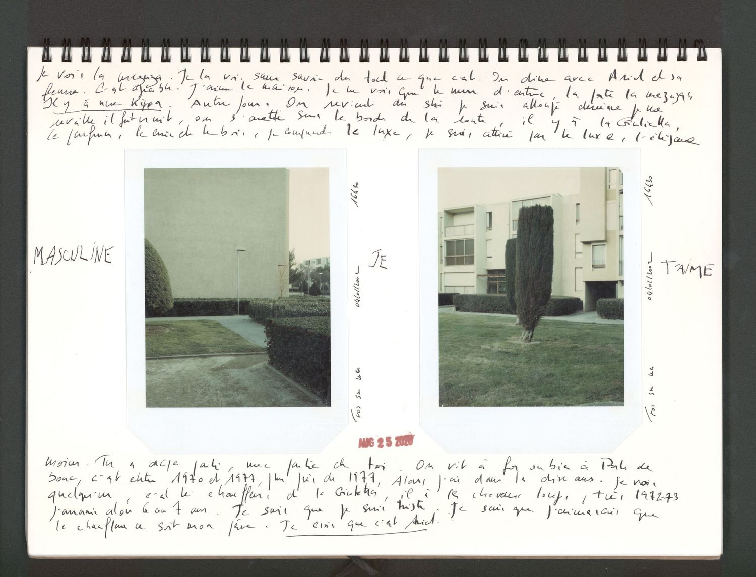 Handwritten journal pages with two Polaroid photos of modernist buildings and sculptures in a green landscape.