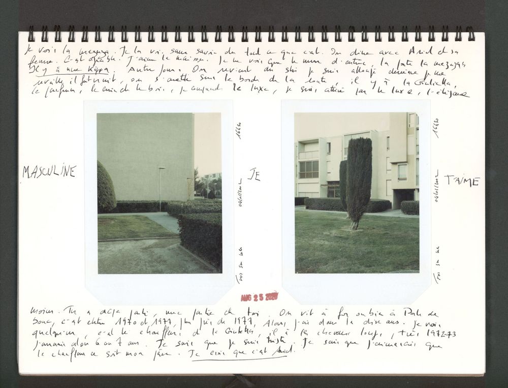 Handwritten journal pages with two Polaroid photos of modernist buildings and sculptures in a green landscape.