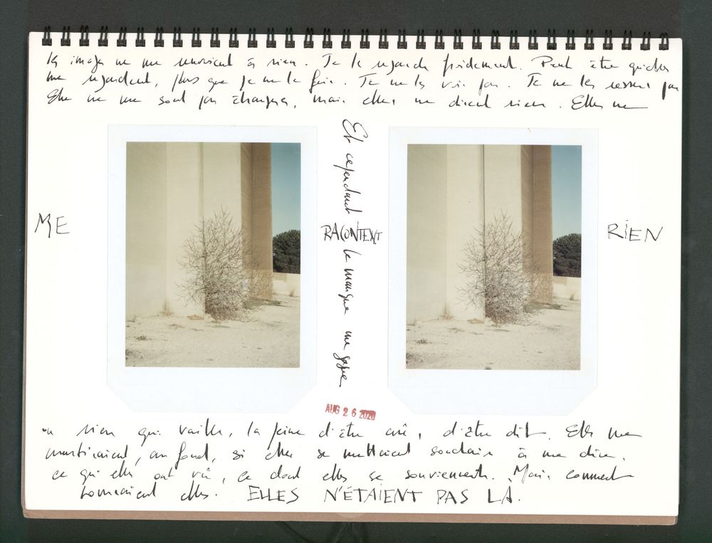 Open journal with handwritten French text and two Polaroid photos of a bare tree near a column in a snowy landscape.