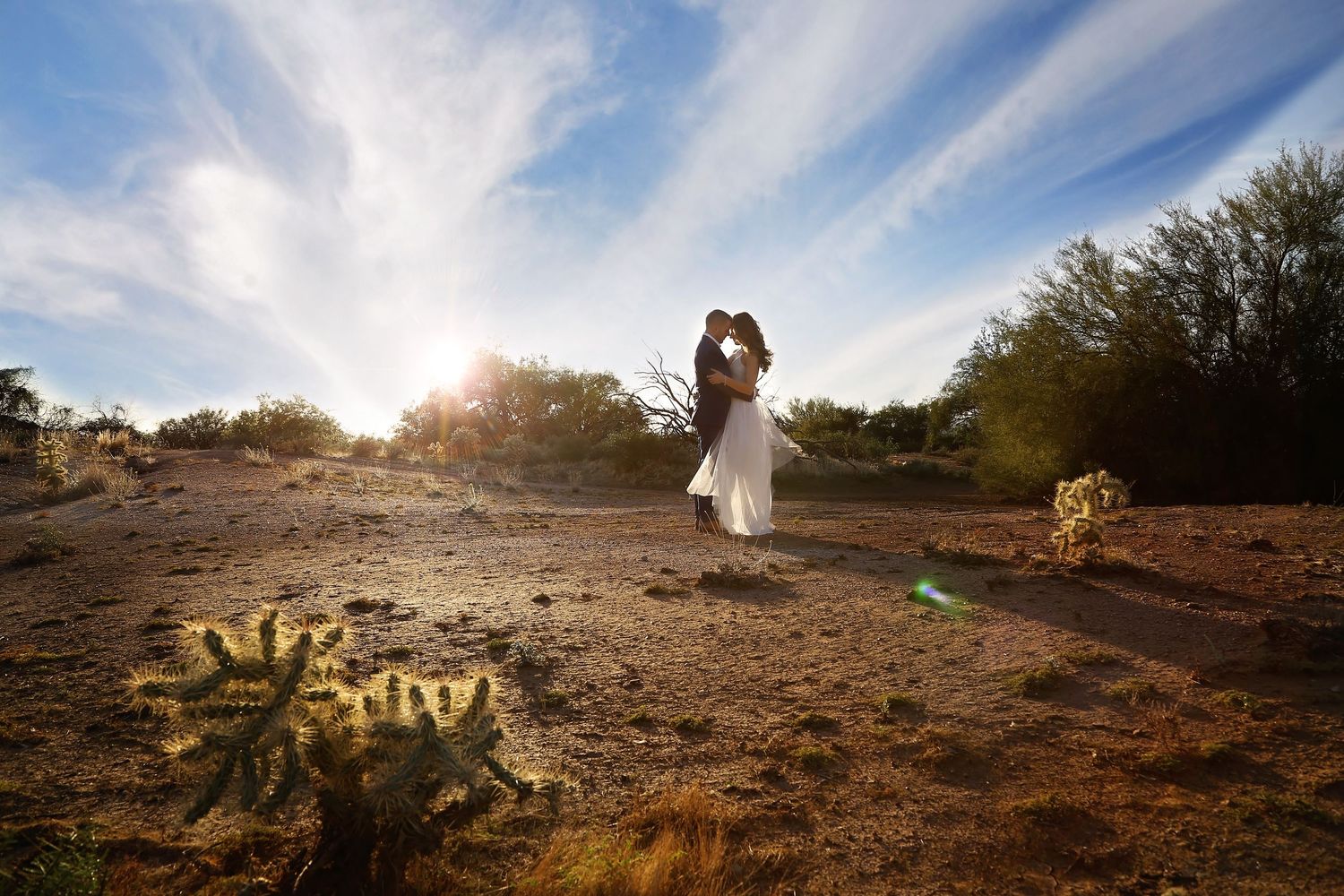 Bride and groom embrace on a sunlit desert trail at sunset with cholla cactus in the foreground and wispy clouds above.
