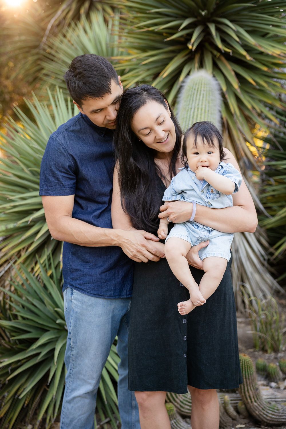 A young family with a baby poses outdoors among desert cacti, smiling warmly during golden hour in the Stanford Cactus Garden.