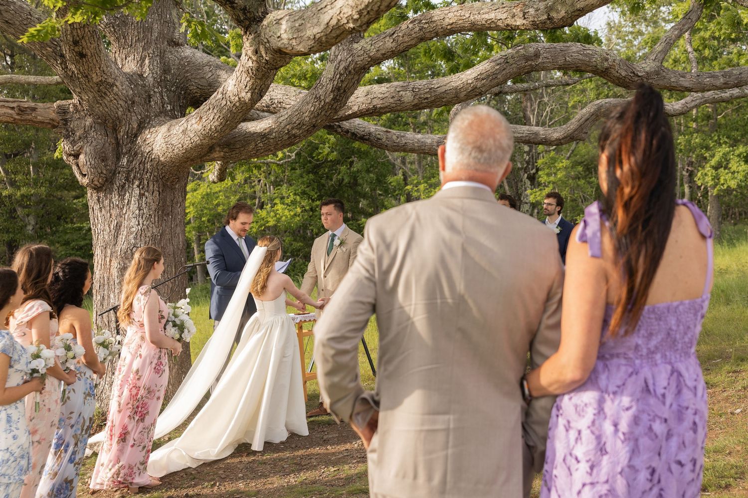 Outdoor wedding ceremony under a large oak tree with guests watching bride and groom exchange vows in a garden setting.