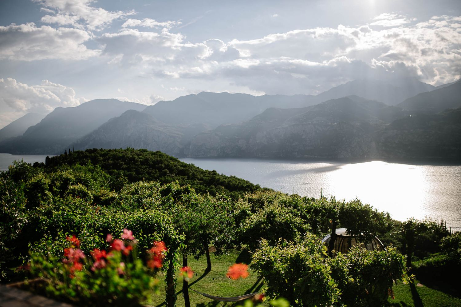 Scenic Italian lake landscape with lush vineyard, blooming red flowers, mountains and sunlit water in background.