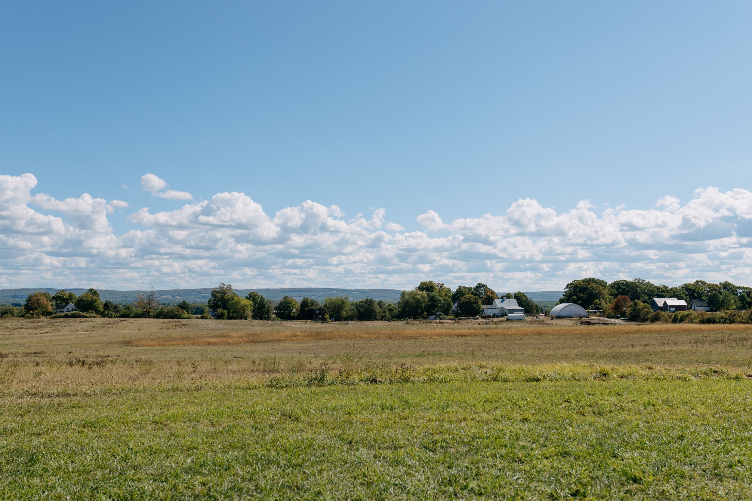 Annapolis Valley Wedding Venue, Berwick Nova Scotia, Greenhouse on Strawberry Lane, Halifax Photographer, Prince Edward County Photographer